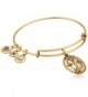 Alex and Ani Key To Life Expandable Rafaelian Bangle Bracelet - Rafaelian Gold - CS125HEQPYP