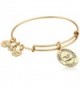 Alex Ani Expandable Rafaelian Bracelet