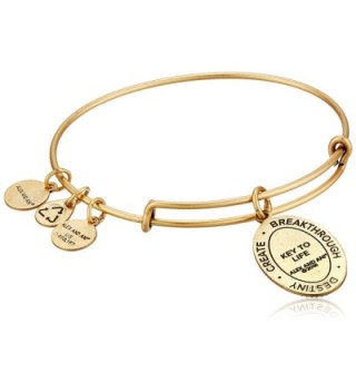 Alex Ani Expandable Rafaelian Bracelet