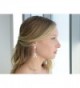 Mariell Gorgeous Chandelier Wedding Earrings in Women's Drop & Dangle Earrings