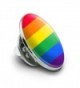 Rainbow Pride Lesbian Contemporary Pinback