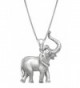 Sterling Silver Elephant Necklace Pendant with 18" Box Chain - C3119CN92PH