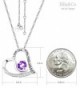 Amethyst Gemstone Birthstone Necklace Anniversary