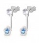 Sterling Aquamarine Crystal Rhodium Earrings