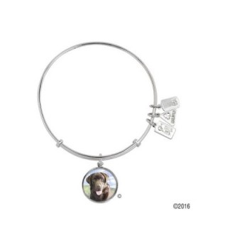 Wind and Fire Pet Collection Expandable Bangle with Pet Photo Charm - Chocolate Lab - C112KTQ7D4H