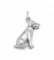 Dog Breed - Labrador Sitting Dog Charm Sterling Silver- Made in the USA - CR113LADK4Z