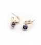 Signore-Signori Purple Drop Earrings 18k Gold Plated Made With Swarovski Elements - CJ11JJ0LLKR