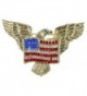 Alilang Golden Tone Patriotic American Eagle Rhinestone USA Flag Brooch Pin - CS113T299UP