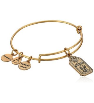 Alex Ani Bracelet Rafealian Expandable