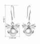 XZP Hypoallergenic Sterling Earrings Zirconia