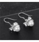 XZP Hypoallergenic Sterling Earrings Zirconia in Women's Drop & Dangle Earrings