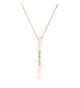 Rosemarie Collections Women's Simple Vertical Bar Pendant Necklace "Fearless" - Rose Gold Color - CI1860YIGEK