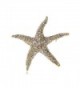 Alilang Golden Tone Clear Crystal Colored Rhinestones Nautical Sea Star Fish Brooch Pin - CA116E0XA85