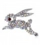 Alilang Silvery Tone Iridescent Rhinestones Rabbit Bunny Hop Brooch Pin - CA115YFMC77