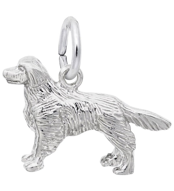 Golden Retriever Charm- Charms for Bracelets and Necklaces - CD115J7GDTX
