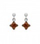 925 Sterling Silver Square Stud Dangle Earrings with Genuine Natural Baltic Amber. - Cognac - CJ12MZIJZV5