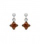 925 Sterling Silver Square Stud Dangle Earrings with Genuine Natural Baltic Amber. - Cognac - CJ12MZIJZV5