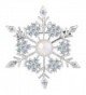 EVER FAITH Women's Prong CZ Simulated Pearl Winter Party Snowflake Flower Brooch Clear Silver-Tone - CV1882KI59D