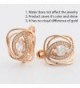 Olivia Star Hypoallergenic Earrings Zirconia in Women's Drop & Dangle Earrings