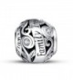 Family Tree of Life 925 Sterling Silver Bead Fit Pandora Charms - CQ1259SJHTT