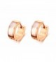 Rose Gold Plated Women's Girls Mother of Pearl Inlay Small Huggie Hoope Earrings - CG1824UCXT6