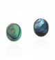 Cute Inlay Abalone Shell Oval .925 Sterling Silver Push Back Stud Earrings - CI11W42CUTN