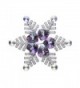 Large Snow Flower Christmas Brooches Pin For Women Made With Swarovski Element Crystals - CZ187G393L0