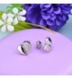 Earrings YL Sterling Zirconia Earrings White Girlfriend in Women's Stud Earrings