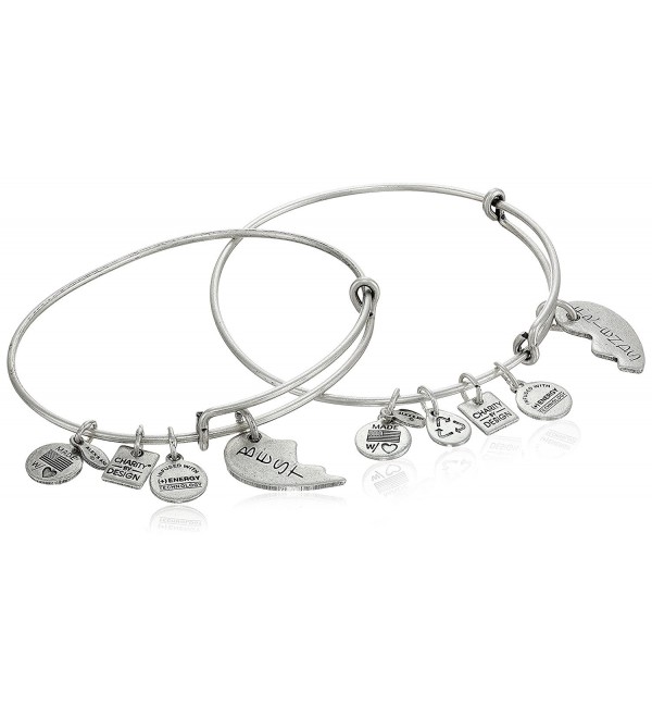 Alex and Ani "Charity By Design" Best Friends Bangle Bracelet- Set Of 2 - Rafaelian Silver Finish - CM118VNE9MP