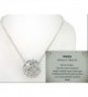 Silver tone Necklace Crystals Jewelry Nexus