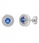 Mia Sarine Womens Round Cubic Zirconia Circle Halo Stud Earring in Rhodium over Sterling Silver - CT12MS52SUL