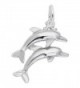 Two Dolphins Charm- Charms for Bracelets and Necklaces - CA115J7KHI1