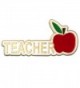 PinMart's Teacher Red Apple Appreciation Gift Recognition Lapel Pin 1-1/4" - CE11B8VT39V