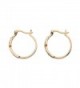 Diamond Accent Two Tone Gold Plated Earrings