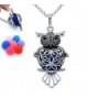 Charms Aromatherapy Jewelry Antique Silver Owl Heart Locket Essential Oil Diffuser Pendant Chain Necklace - CC12N6CBZHJ