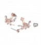 SHEGRACE Plated Earring Jackets Earrings in Women's Stud Earrings