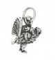 Sterling Silver Oxidized Tiny Three Dimensional Wild Turkey Charm - CS115T2SSQT