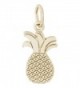 Rembrandt Charms Pineapple Charm - C5111GJU583