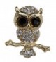 Yazilind Jewelry Gold Plated Champagne Crystal Cute Owl Brooches and Pins for Wedding Party - Colourless - CB11MWBPJNP