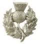 Heavy Scottish Thistle Pewter Pin - C3112G6QTIP