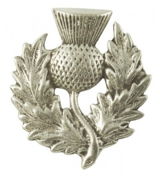 Heavy Scottish Thistle Pewter Pin - C3112G6QTIP