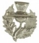 Heavy Scottish Thistle Pewter Pin