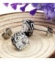 Elove Jewelry Stainless Zirconia Earrings in Women's Stud Earrings
