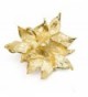 Akianna Swarovski Element Crystals Poinsettia in Women's Brooches & Pins