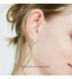 Brilliant Zirconia Earrings Triple Knot Silhouette