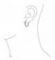Bling Jewelry Inside Stainless Earrings in Women's Hoop Earrings