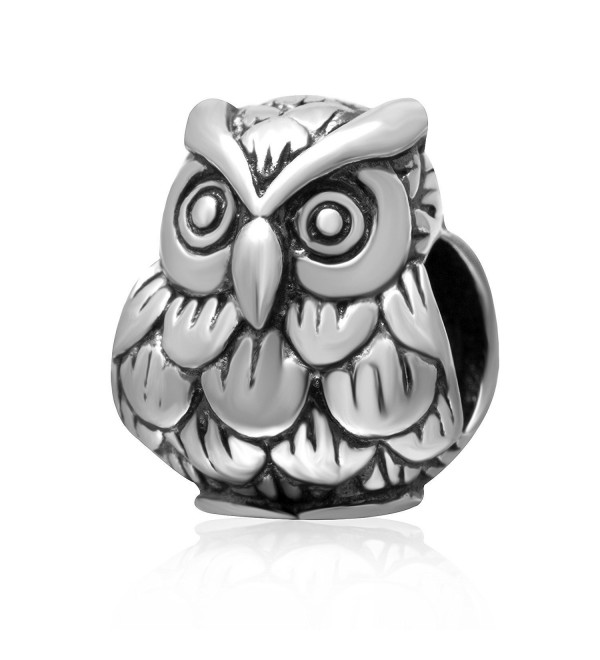 Lucky Baby Owl Charms 925 Sterling Silver Smart Animals Bead Charm - CH1870IU372