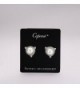 Caperci Cubic Zirconia Simulated Earrings in Women's Stud Earrings