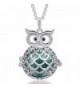 EUDORA Harmony Ball Wise Owl 20mm Pendant Pregnancy Long Necklace Mexico Bola Chime 45" Chain - Seagreen - CC186S9GWA7