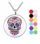 Essential Oil Diffuser Necklace Aromatherapy Locket Skull Head Pendant with 12 Refill Pads - C9184X99K7C
